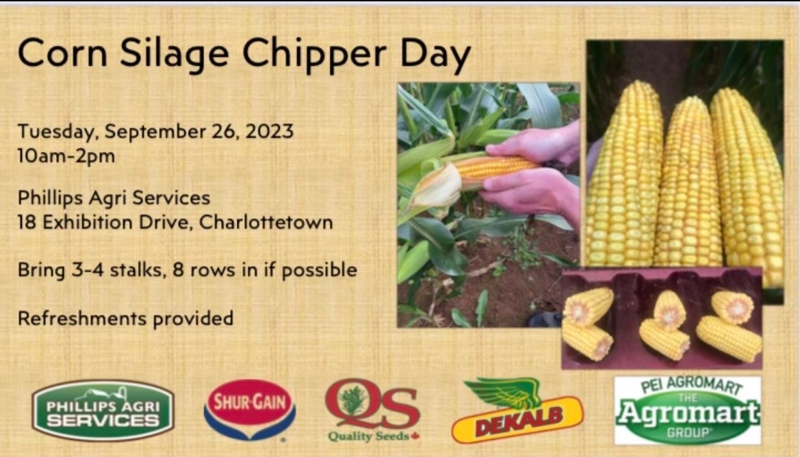 Attention Island Corn Silage Growers!!
We will be having a Corn Chipper day next Tuesday, Sept. 26th @ Phillips Agri Services between 10am to 2pm.