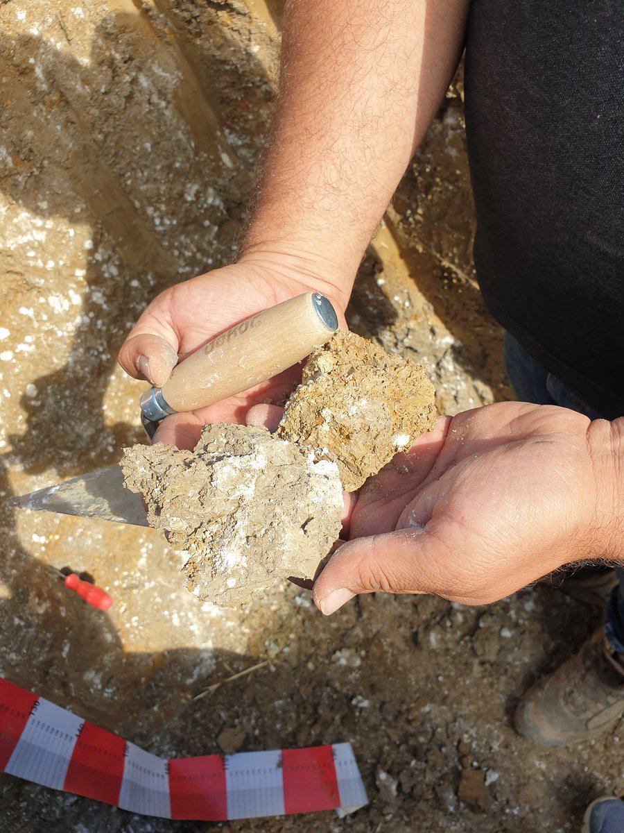 Pedometrdsm's tweet photo. Love to soils
Typical soil development on calcareous parent material in nortwest of Türkiye . Annual rainfall is around 800 mm. Carbonate is struggling for accumulation.
#soil
#soilmapping
#soilclassification https://t.co/6uJMnNFbID