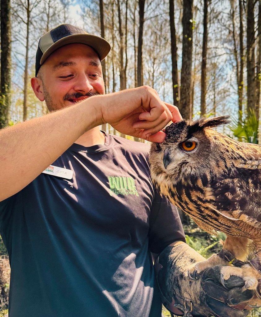 WildFlorida's tweet photo. Get a glimpse into the wild with our Exotic Animal Show, presented by the one and only #CrocSquad! ๐๐ Join us each day at 10:30 a.m., 12 p.m., 2:15 p.m., and 4 p.m. for this unforgettable experience and learn about animals, like our Eurasian Eagle Owl. ๐ฆโ https://t.co/9Zw1UJMPB3