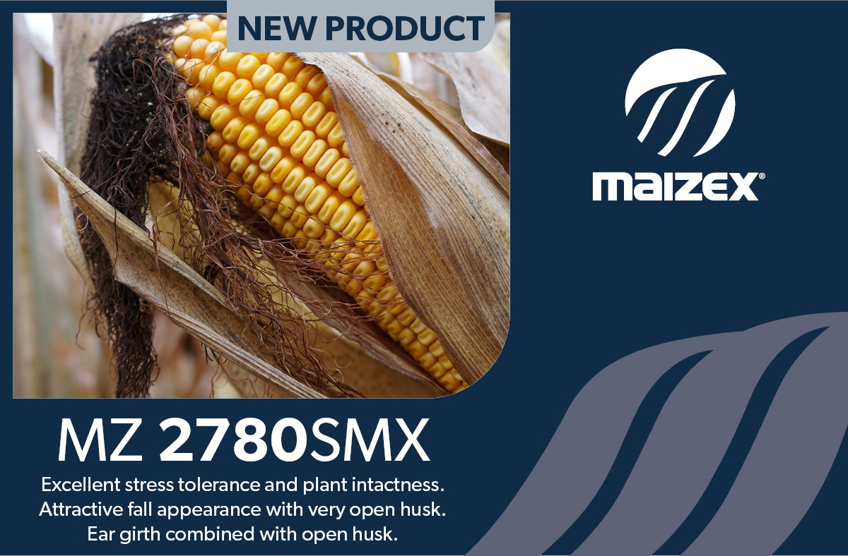 Talk to your #MaizexDealer about which hybrids are best for you! #fieldbyfield #Plant24 #CanadianGrownCanadianOwned