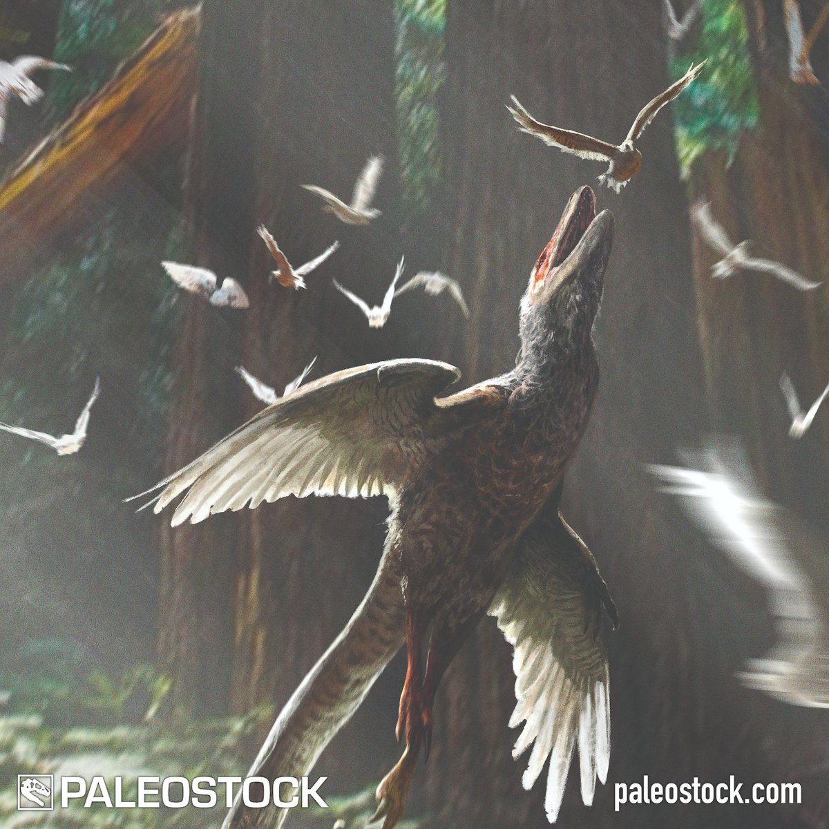 ngarland's tweet photo. GetPaleostock: In this scene from the Late Cretaceous, we see the dromaeosaurid theropod dinosaur Acheroraptor hunting an ornithurine bird.

License this stock resource at: https://t.co/4LV7qF5nFL

Illustration by @HimaRudolf

#paleontology #paleoart https://t.co/y5VBJ8odla