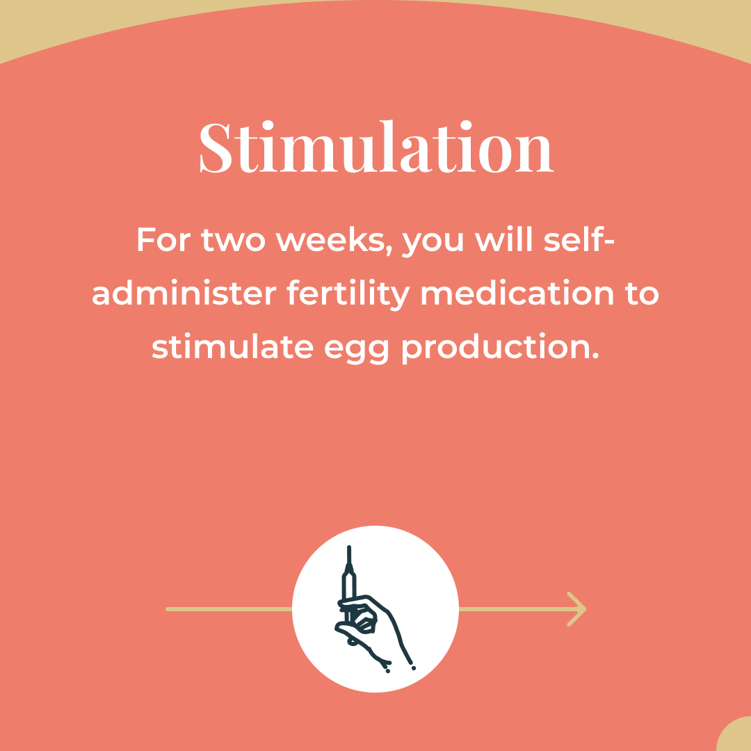 Becoming an egg donor involves an initial screening, a comprehensive evaluation, and a meticulous matching process. If accepted, you'll undergo medical procedures to stimulate egg production. Your generosity can make parenthood dreams come true! bit.ly/2VxCukh
