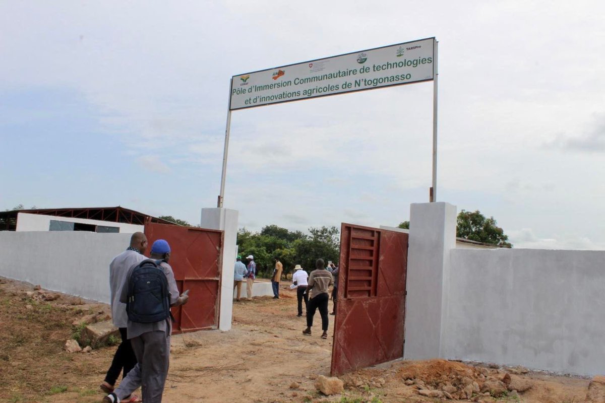 Visite de terrain des partenaires du projet Technologies et Innovations pour l’Accroissement de la Résilience des Systèmes de Production et des exploitations agricoles familiales en #Afrique de l’Ouest et du Centre (TARSPro) mis en œuvre par le #CORAF.
#AMEDD #Impacts2023