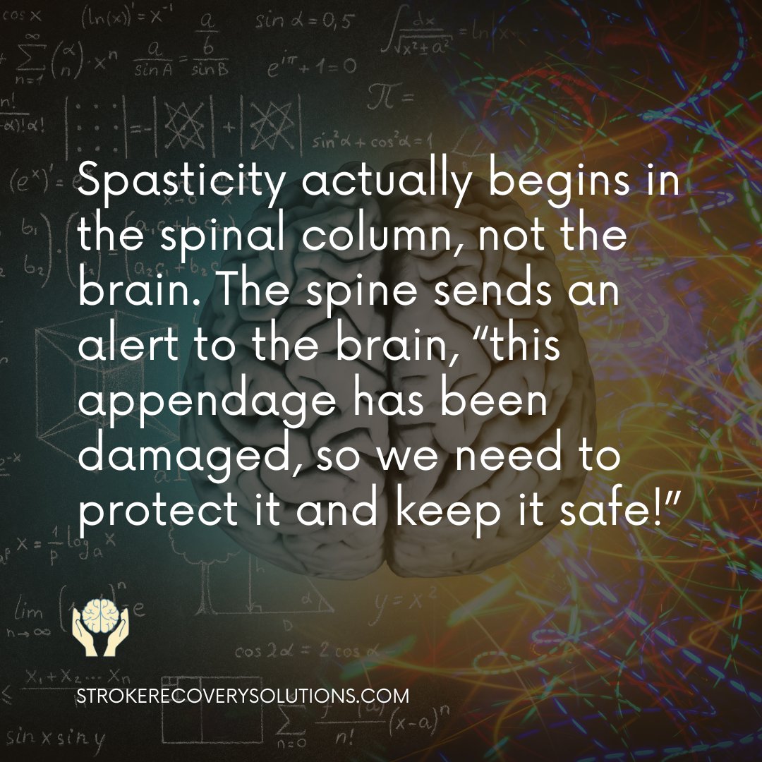MaureenHarrop's tweet photo. FYI, I’ve recently learned from the book, Stronger After Stroke by Peter G Levine, that spasticity actually begins in the spinal column, not the brain. The spine sends an alert to the brain, “this appendage has been damaged, so we need to protect it and keep it safe!” https://t.co/V4cd1jHQdO