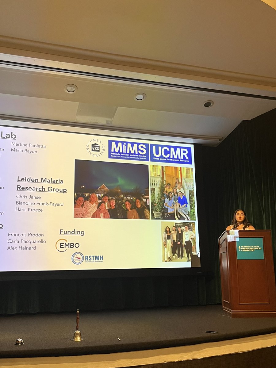 ellen bushell (@bushell_lab) on Twitter photo So happy to be at #MPM2023 with our team, all doing a great job presenting their work <a href="/sophiascience/">Sophia Hernandez</a> <a href="/ThoreyJonsdott1/">Thorey Jonsdottir</a> <a href="/Marti_Paoletta/">Martina Paoletta</a> (abstracts 34, 102, 148). We dress matchy matchy & are recruiting postdocs! Come find us to talk CRISPR, protein export or how to joint our gang.. So happy to be at #MPM2023 with our team, all doing a great job presenting their work <a href="/sophiascience/">Sophia Hernandez</a> <a href="/ThoreyJonsdott1/">Thorey Jonsdottir</a> <a href="/Marti_Paoletta/">Martina Paoletta</a> (abstracts 34, 102, 148). We dress matchy matchy & are recruiting postdocs! Come find us to talk CRISPR, protein export or how to joint our gang..