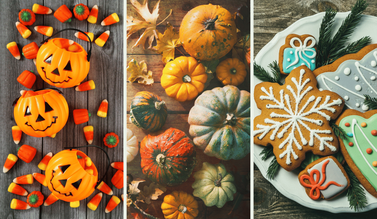 BandBConsultus's tweet photo. Here are some secrets to make your bed &amp; breakfast the go-to destination for #holiday travelers. https://t.co/x6abKPJmwD https://t.co/J2tff5JTkb
