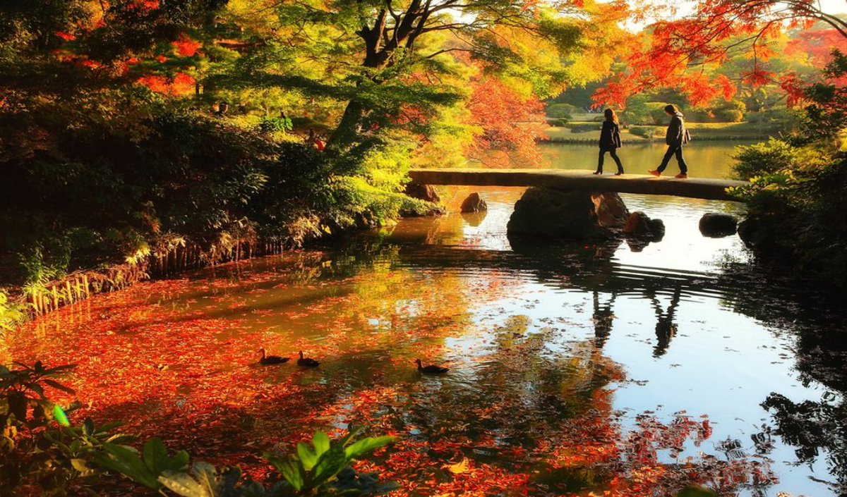 Often when I am tired or stressed an intense #workout is counterproductive. A brisk #walk #outdoors is more  #beneficial and #uplifting. No matter how #fit you are now any #exercise will help to boost #energy levels and your sense of well-being.🚶🧑‍🦯

#exercise #walking #enjoylife