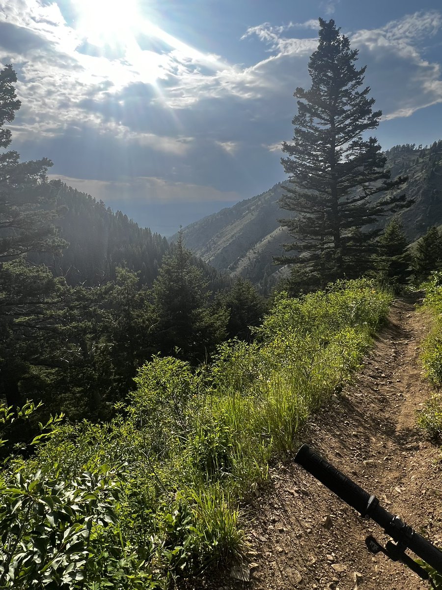 Blake Schofield tweet media