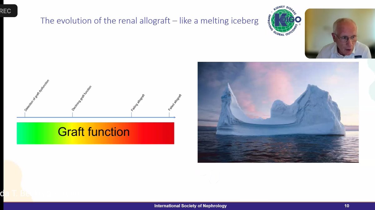 An excellent webinar on 'Management of the Patient with a Failing Renal Allograft @ISNeducation 
 @ISNkidneycare #ISNwebinar
' Better Than Dialysis Kidneys Save Lives' - by Yolanda T Becker
'The Evolution of the Renal allograft— like a melting iceberg” - Dr Martin Zeier