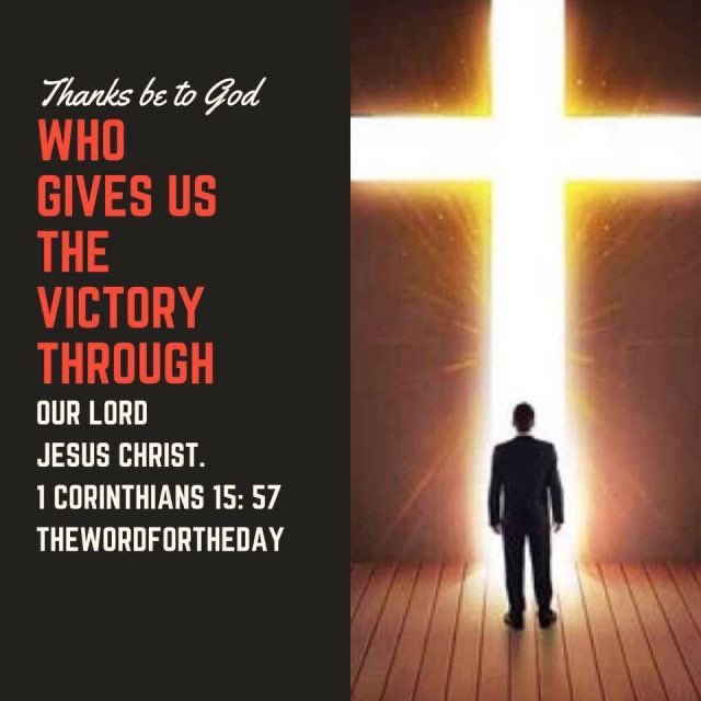 @thompsonb2569 Amen sweet sister Brenda👏🏻🙏🏻✝️🔥THANK YOU JESUS CHRIST 🙌🏻