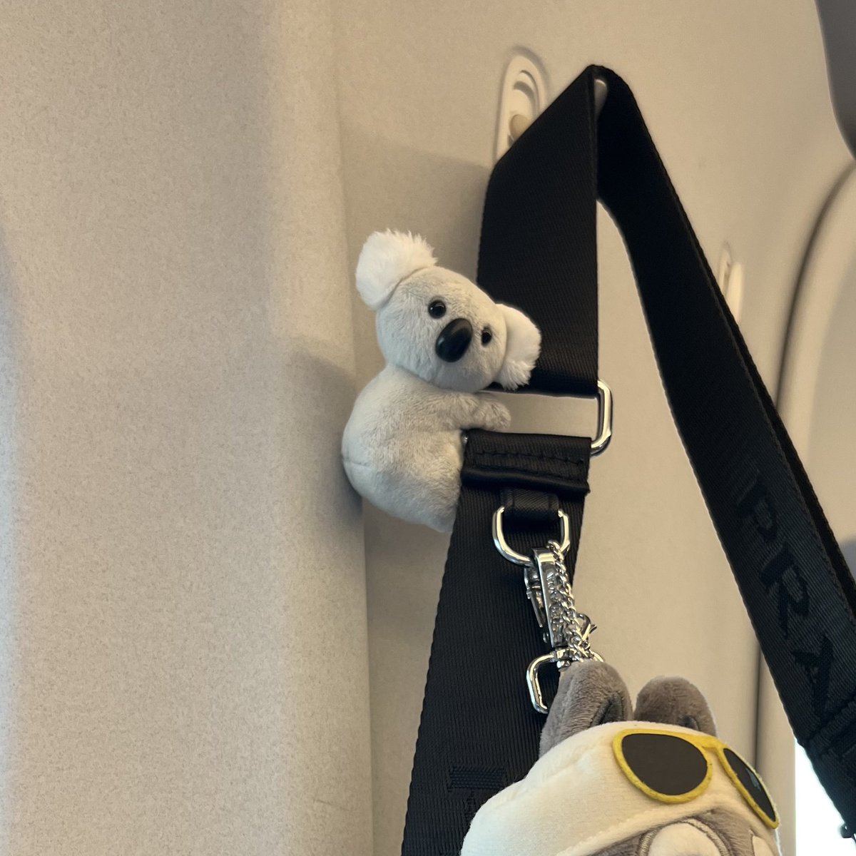 __syrr's tweet photo. 東山動物園に行かれる方で🐨代行可能な方いらっしゃいますか…🥺
このマグネットでくっつくコアラちゃんを落としてしまい落ち込んでます…🥲
手数料、送料などもお支払いいたしますのでどなたかご協力頂きたいです🐨🥲 https://t.co/HGbasYa134