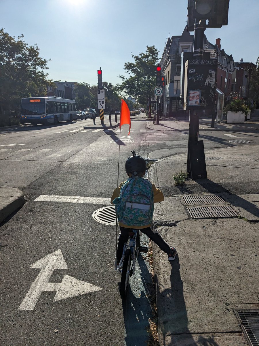 Digby Turtle tweet media