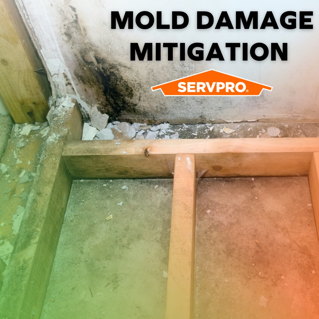 Prevention is the first step, restoration is the solution! Learn how SERVPRO of Hockessin / Elsmere tackles mold damage head-on to restore your home's safety and comfort. #MoldPrevention #RestorationExperts #SERVPROReady
