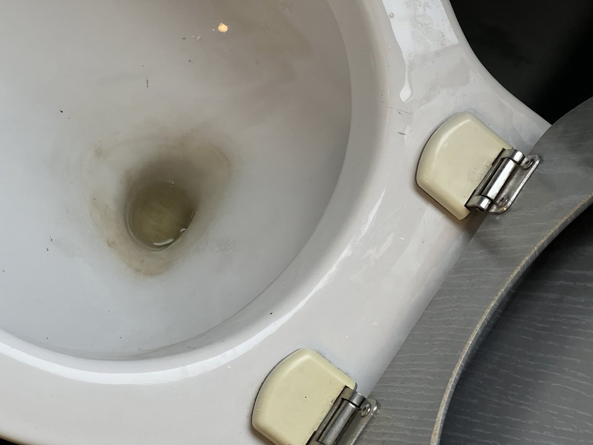 emrllr's tweet photo. Et je n’avais pas visité les toilettes… https://t.co/C4FuDXiVin