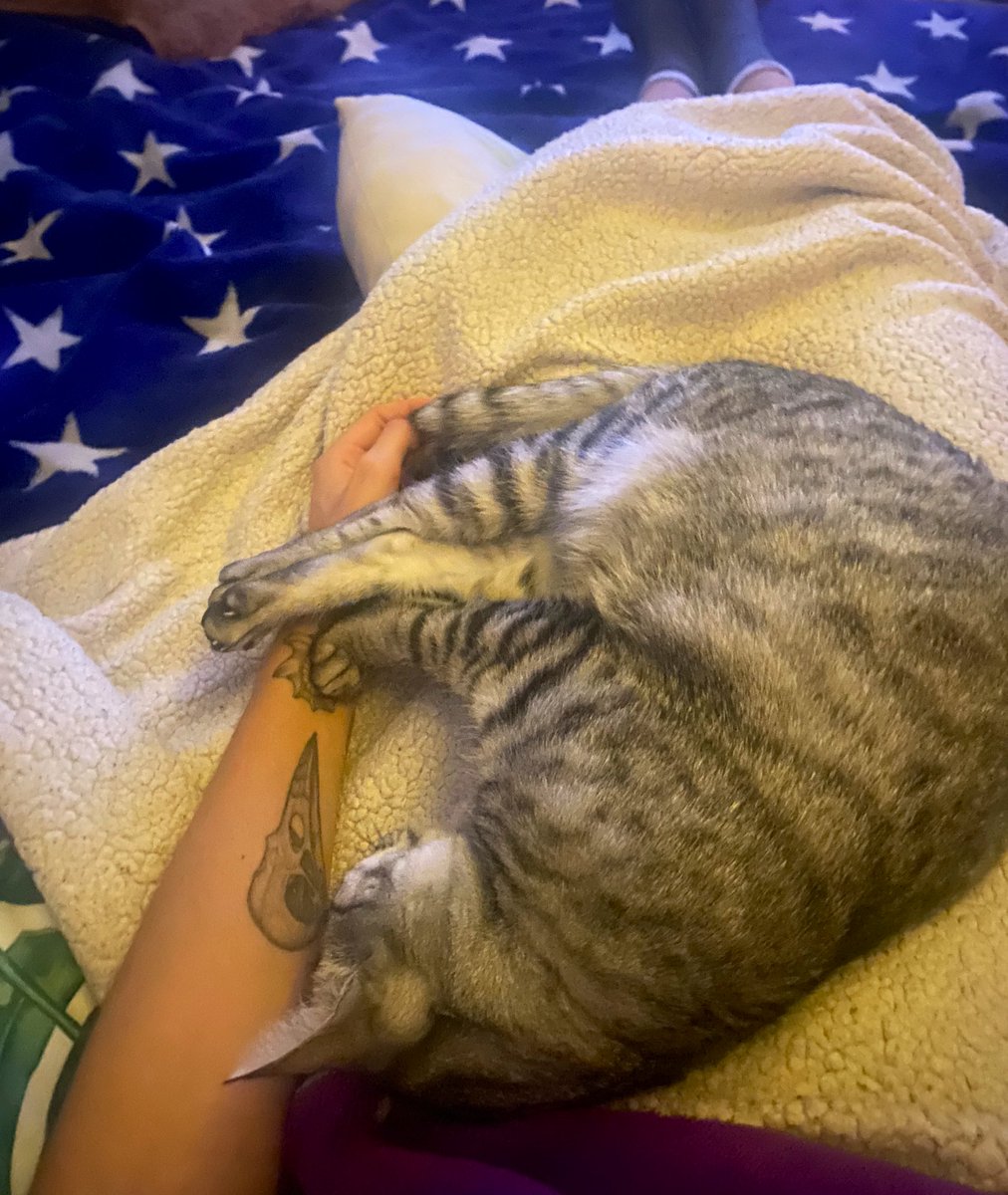 Giralunitis's tweet photo. Ratillas muy amorosas últimamente 🧡 https://t.co/77uUSMdmxP