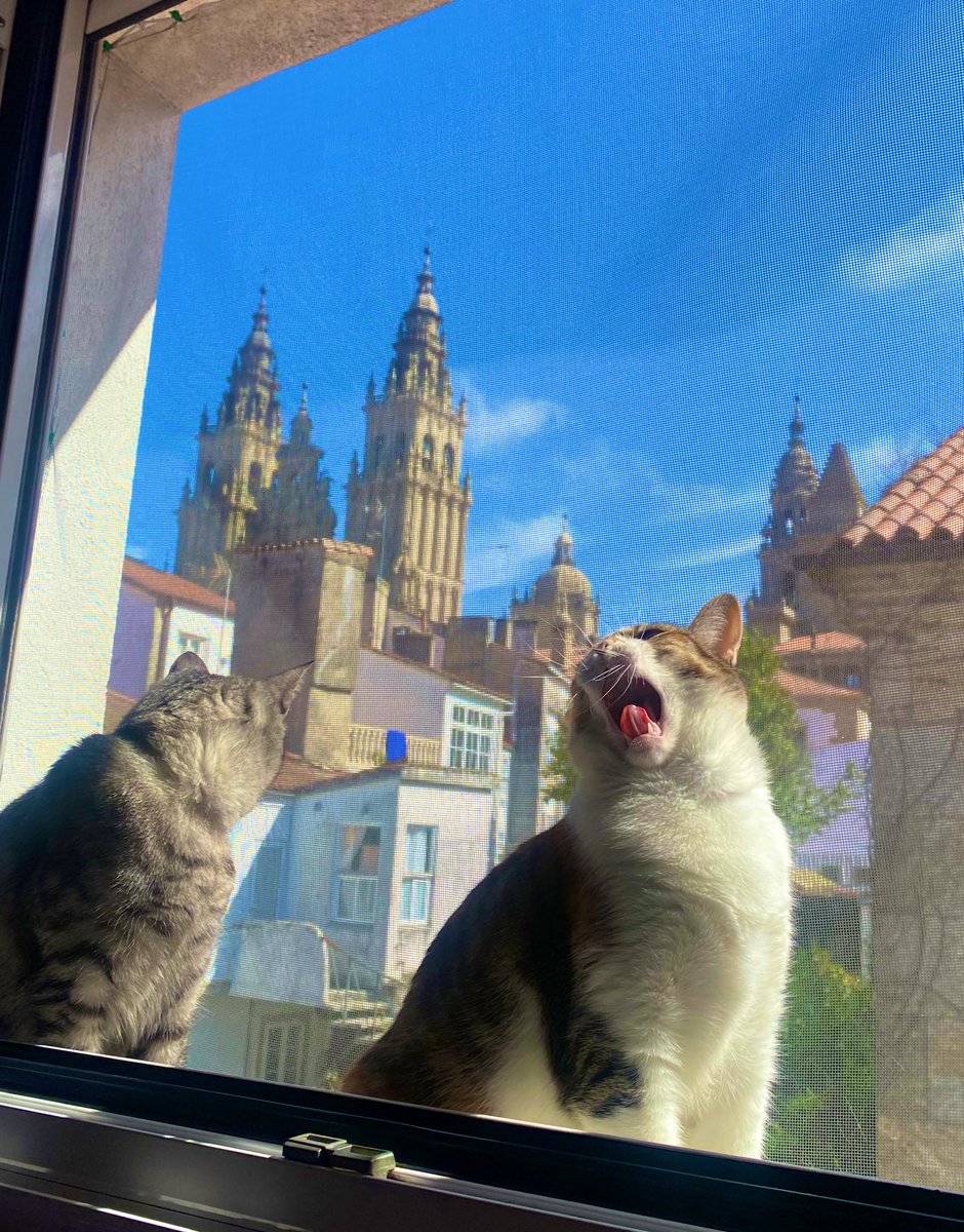 Giralunitis's tweet photo. Ratillas muy amorosas últimamente 🧡 https://t.co/77uUSMdmxP