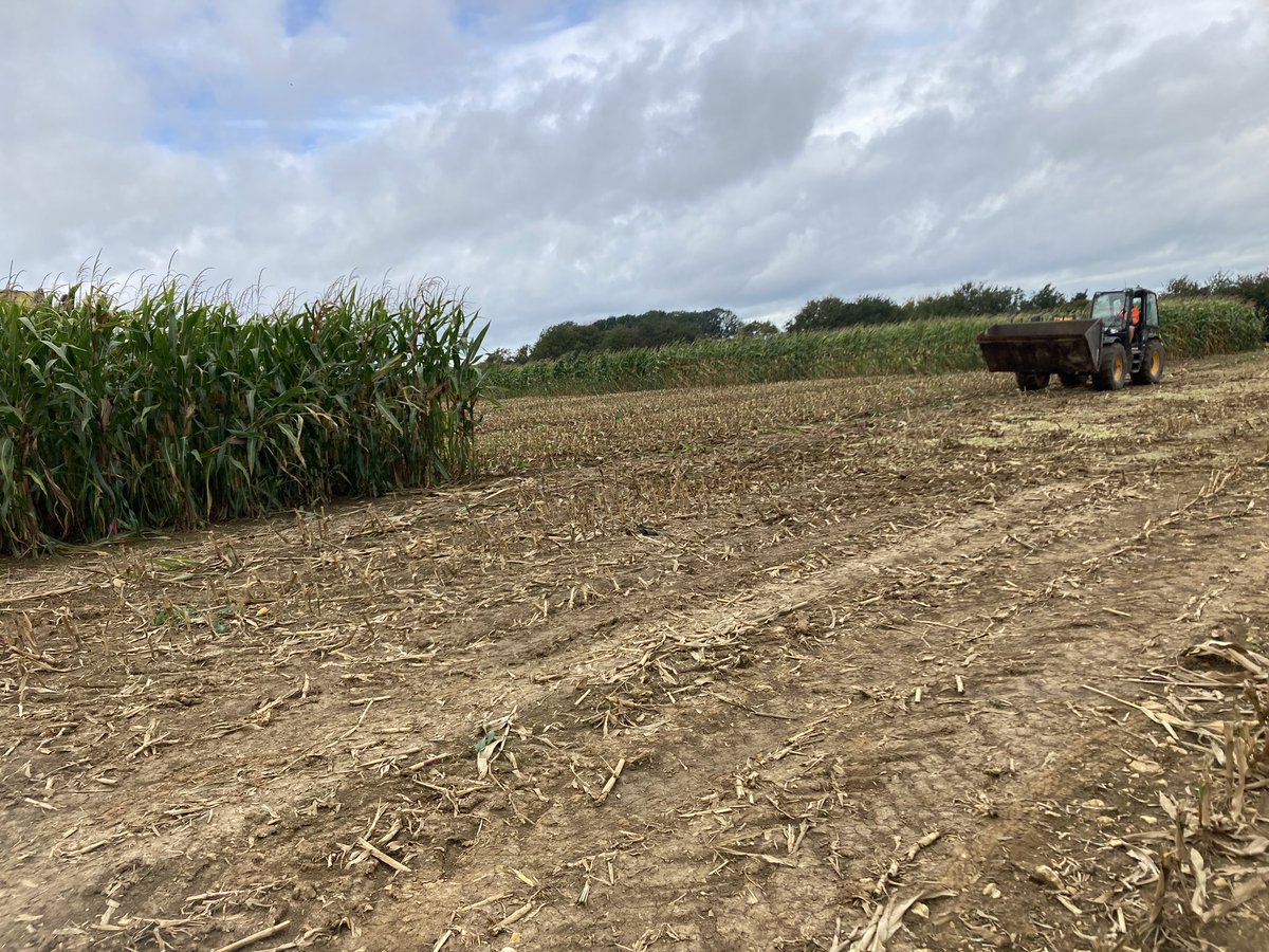 Récolte essais #maïs fourrage dans les Ardennes ➡️ on passe tous les échantillons / variétés pour prédire les %MS et valeurs alimentaires. #ceuxquifontlesessais <a href="/DEKALB_FR/">DEKALB-FieldView by Bayer France</a>