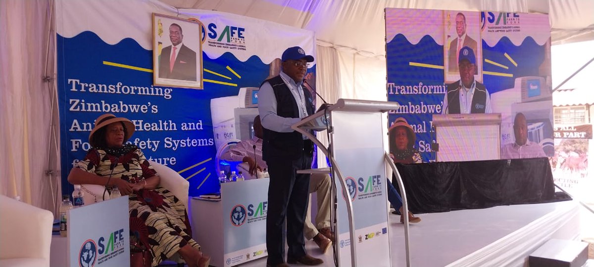 FAO Subregional Office for Southern Africa (@faosfsafrica) on Twitter photo #Thread
Updates on the ongoing Official Hand over of Anchor Animal Health Management Centres (AAHMCs) to the Government of Zimbabwe & the Launch of the Animal Disease Surveillance Strategy & Public Private Partnership model. Under the <a href="/euinzim/">EU Delegation to Zimbabwe 🇪🇺</a> funded <a href="/ZAGPInfo/">Zimbabwe Agricultural Growth Programme</a> - SAFE project. #Thread
Updates on the ongoing Official Hand over of Anchor Animal Health Management Centres (AAHMCs) to the Government of Zimbabwe & the Launch of the Animal Disease Surveillance Strategy & Public Private Partnership model. Under the <a href="/euinzim/">EU Delegation to Zimbabwe 🇪🇺</a> funded <a href="/ZAGPInfo/">Zimbabwe Agricultural Growth Programme</a> - SAFE project.