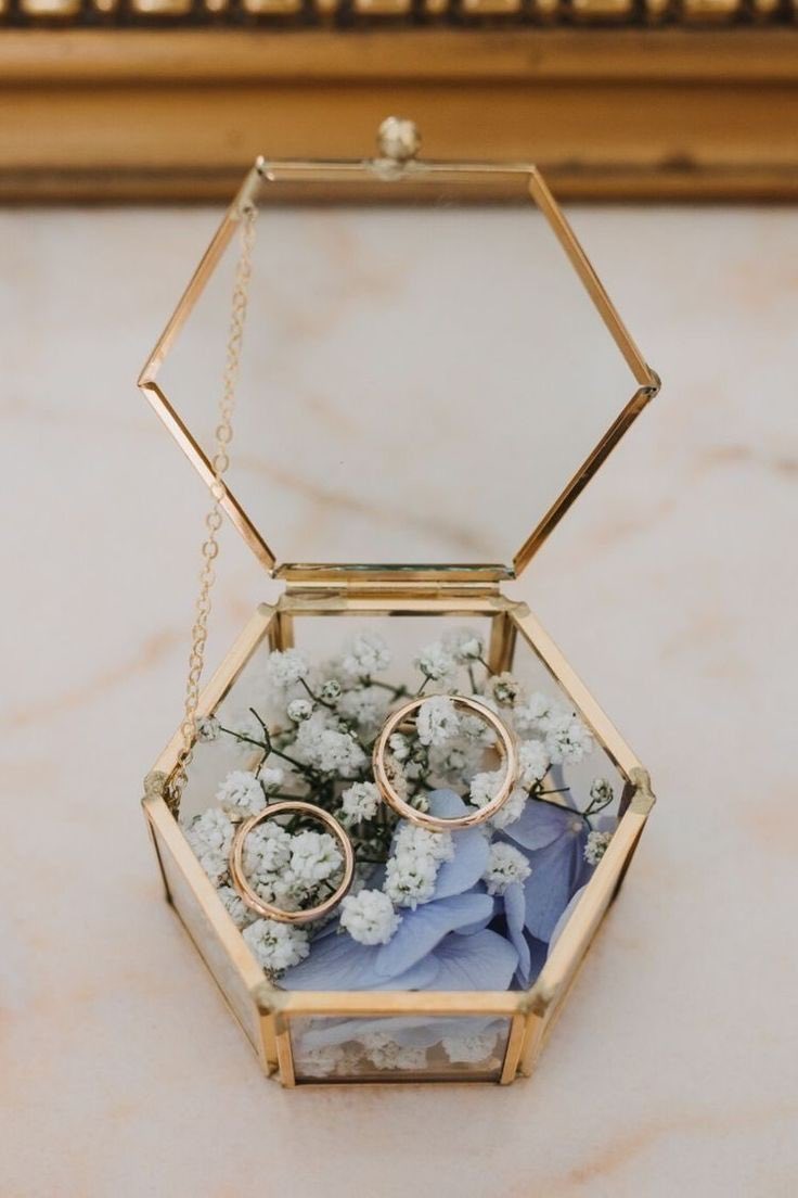 Wonwoo The Ignision tweet media