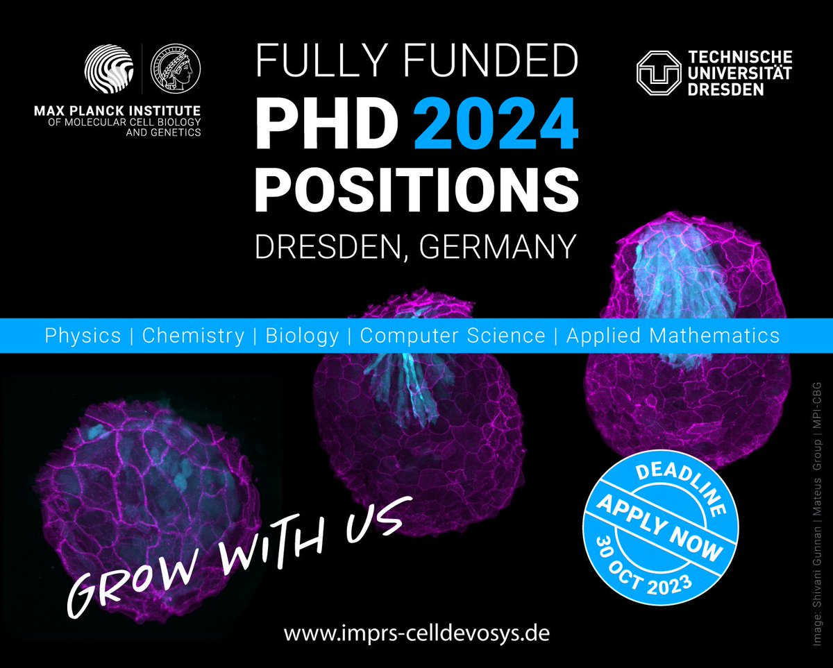 The PhD program of the @mpicbg, the @imprs_mpicbg, is accepting applications until October 30, 2023 for fully funded PhD positions. Apply now if you are enthusiastic in conducting research with us and want to be part of our community. …online-application.cmcb.tu-dresden.de/ausschreibung?…