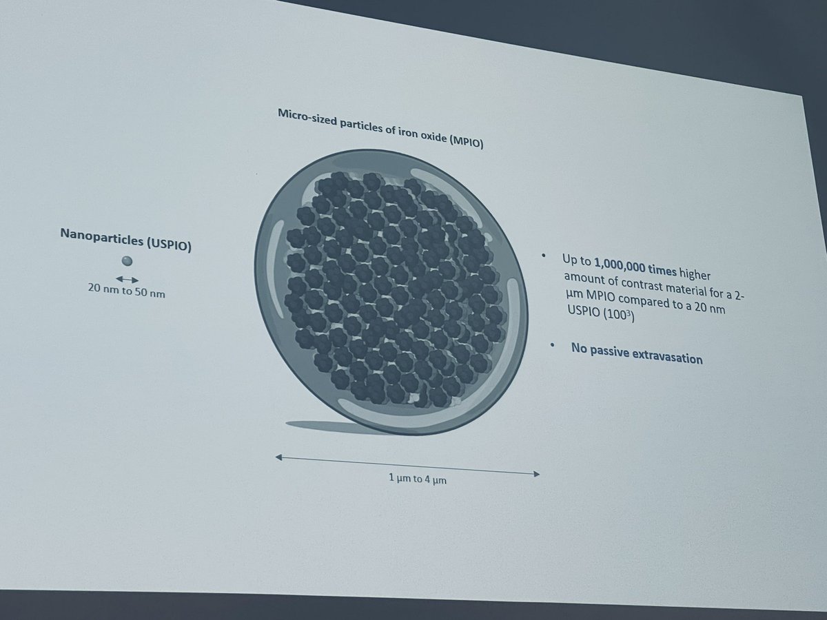 Sara Martinez de Liz tweet media