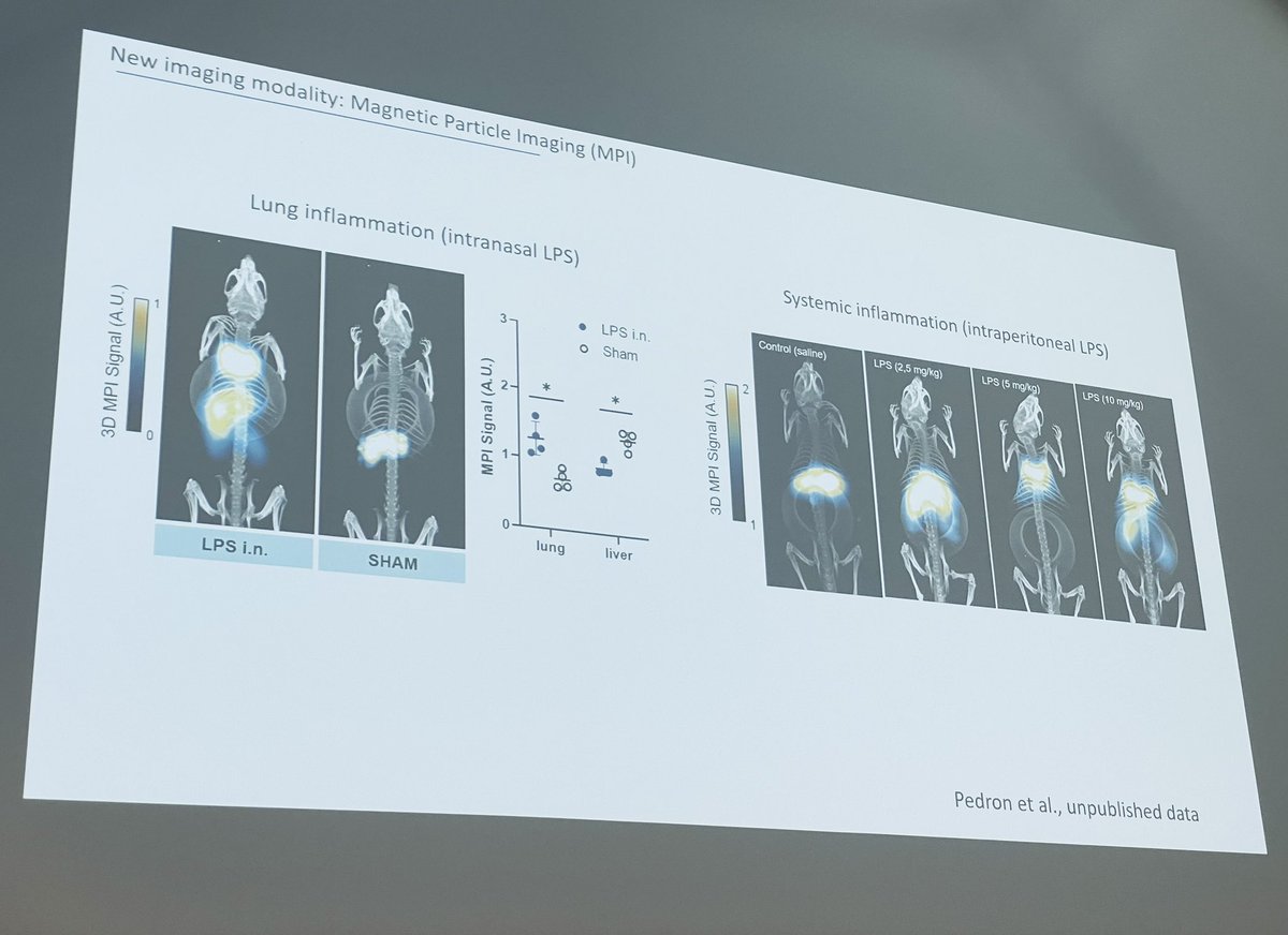 Sara Martinez de Liz tweet media