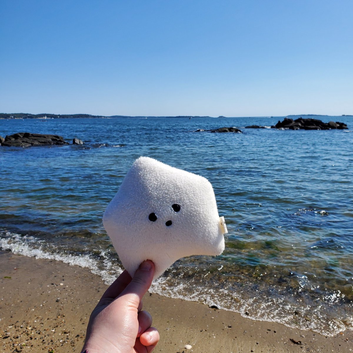 sucklet7's tweet photo. i visited the ocean on my vacation. it was very pretty. πππ.
#sucklet. #oceanlet. @itemlabel. https://t.co/wEIX83dO9z