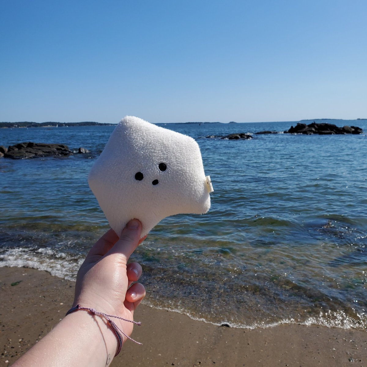 sucklet7's tweet photo. i visited the ocean on my vacation. it was very pretty. πππ.
#sucklet. #oceanlet. @itemlabel. https://t.co/wEIX83dO9z