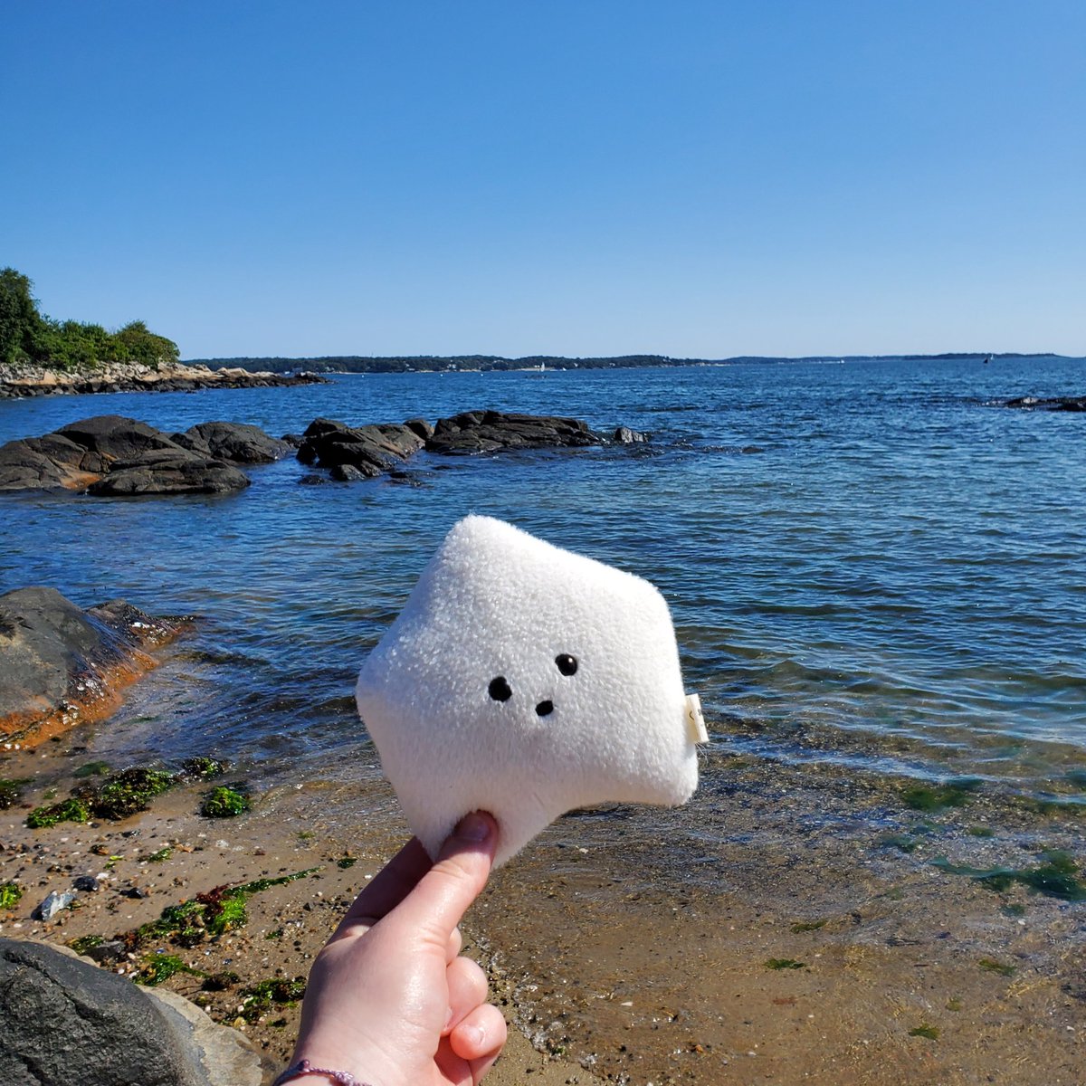 sucklet7's tweet photo. i visited the ocean on my vacation. it was very pretty. πππ.
#sucklet. #oceanlet. @itemlabel. https://t.co/wEIX83dO9z