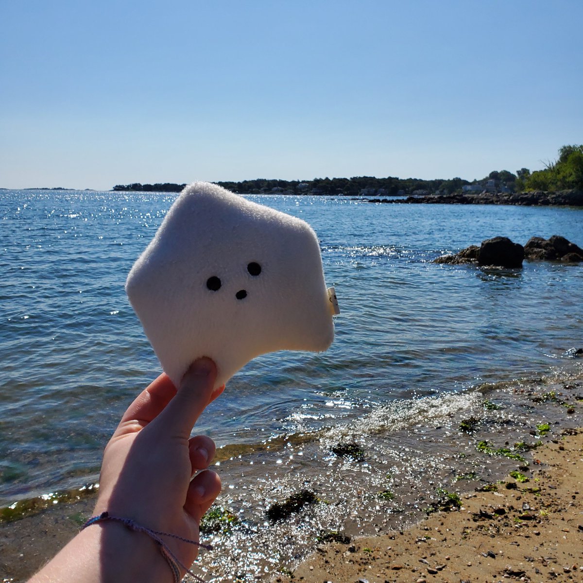 sucklet7's tweet photo. i visited the ocean on my vacation. it was very pretty. πππ.
#sucklet. #oceanlet. @itemlabel. https://t.co/wEIX83dO9z