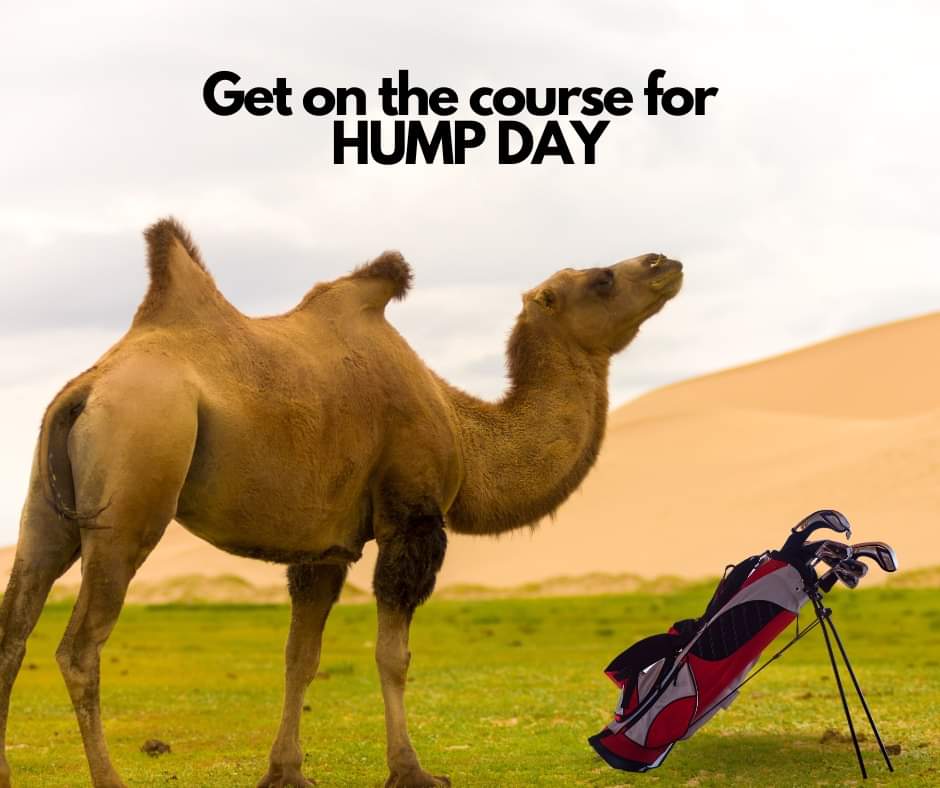 LWBGolfClub's tweet photo. 🐫⛳️ It's Hump Day, and what better way to celebrate than hitting the course? Shake off the midweek slump and tee up for a round of golf today!

Book Now - https://t.co/z34DDxcsEb https://t.co/S7iRmiqhic