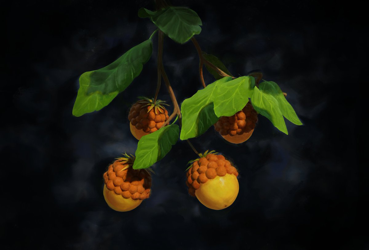 YubisAdventures's tweet photo. @sabrinateenlich Hello Explorers!

This week we've been busy creating new exciting effects for gatherable ingredients which may worked into your inventions.

Build Thermal googles with the eyes of a slain beast or build an acid thrower using its stomach. #SentimaTTRPG https://t.co/QBvcbaVVG2