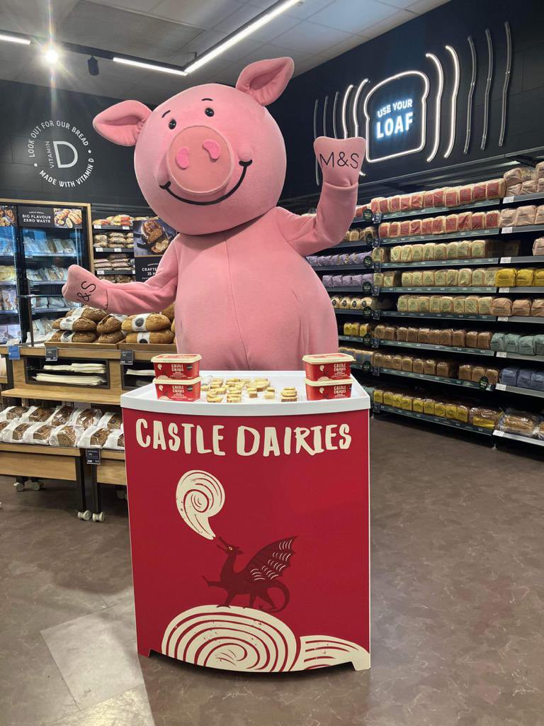 CastleDairies's tweet photo. Look who stopped by to see us at @marksandspencer Llanishen today🐷🐽 

Percy loves our Welsh spreadable🧈. Why not pop in &amp; sample some today?

#castledairies #welshdairy #butter #welshbutter #spreadable #butterlovers #butterlove #lovebutter #percypig #llanishen #cardiff https://t.co/hFS0REmzPR