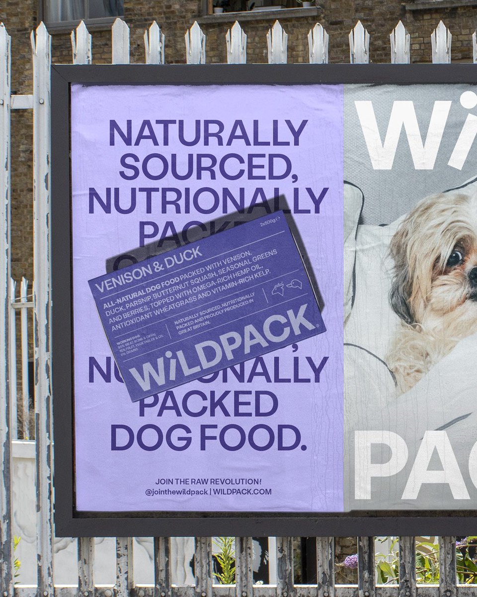 Georgia Toffolo tweet media