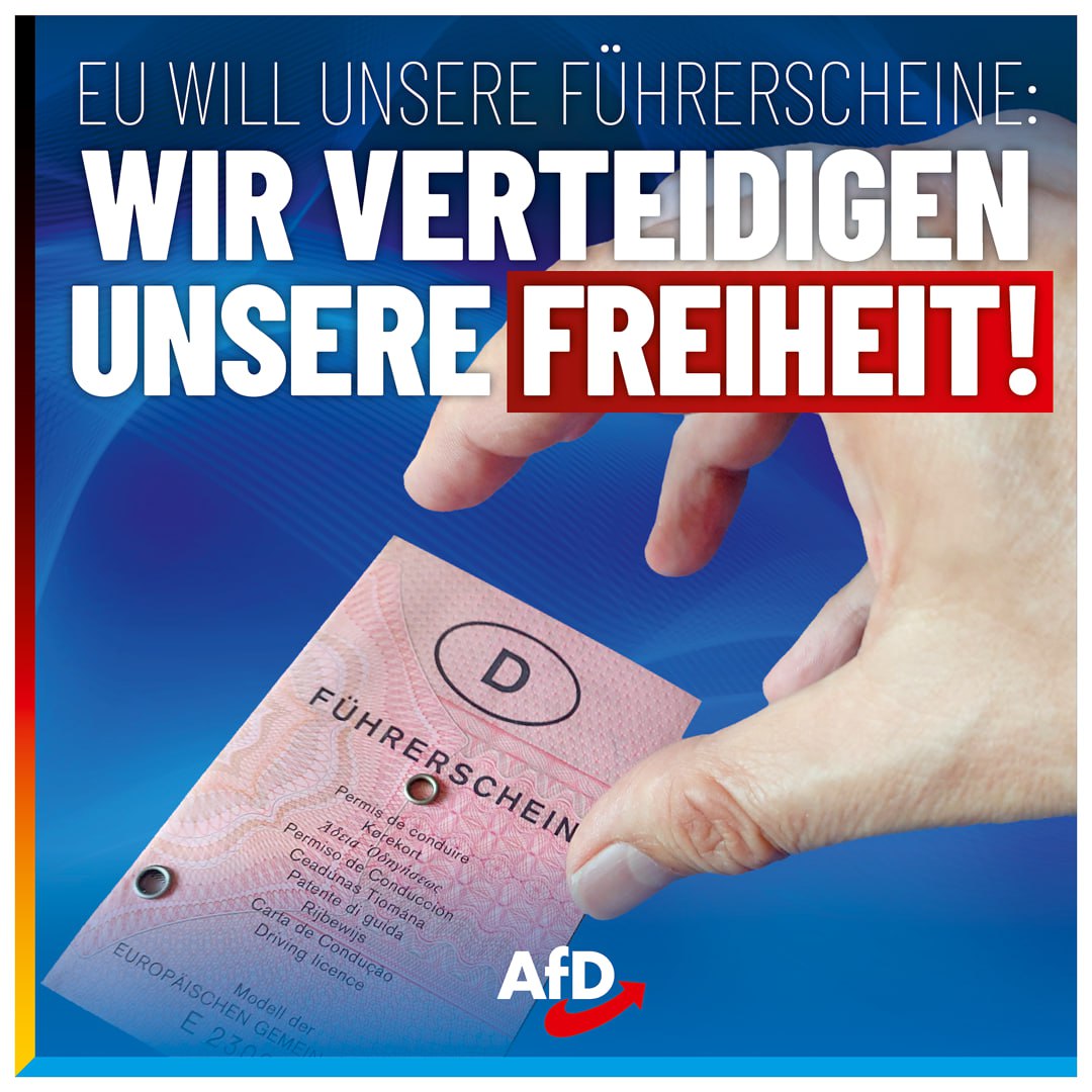 AfD tweet media