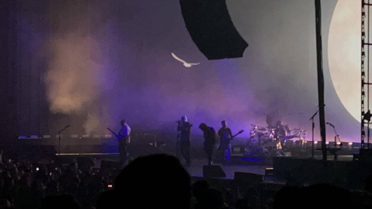 lacyyy_m's tweet photo. AvX7 show last night https://t.co/LEwGiqkfQJ