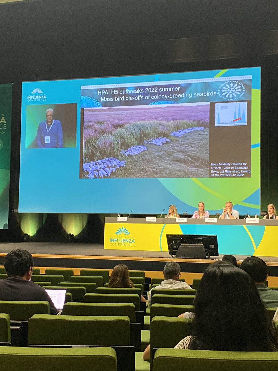 Ron Fouchier highlighting the H5 avian influenza outbreaks in Europe and unusual high number of mammalian infections  #ESWI2023