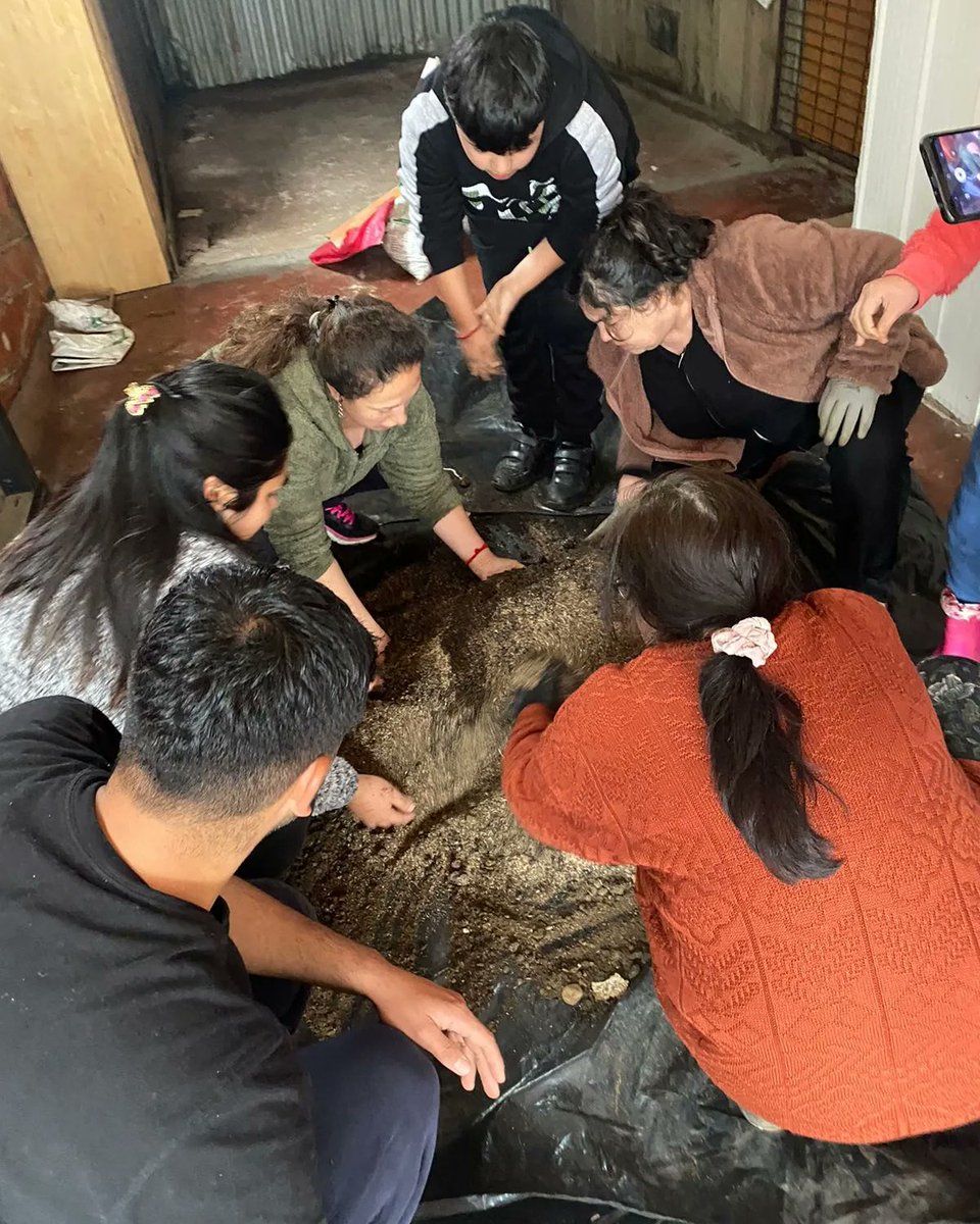 mi_estacion's tweet photo. 👉 Con un compartir, se realizó el pasado viernes una nueva sesión del taller de #JardineríaDomiciliaria 🌻

👉 Durante la instancia, las usuarias aprendieron a realizar #Bokashi, que es un abono orgánico sólido, producto de un proceso de fermentación. 

@barrios8va 
@canetemuni https://t.co/1EoWy6V13I