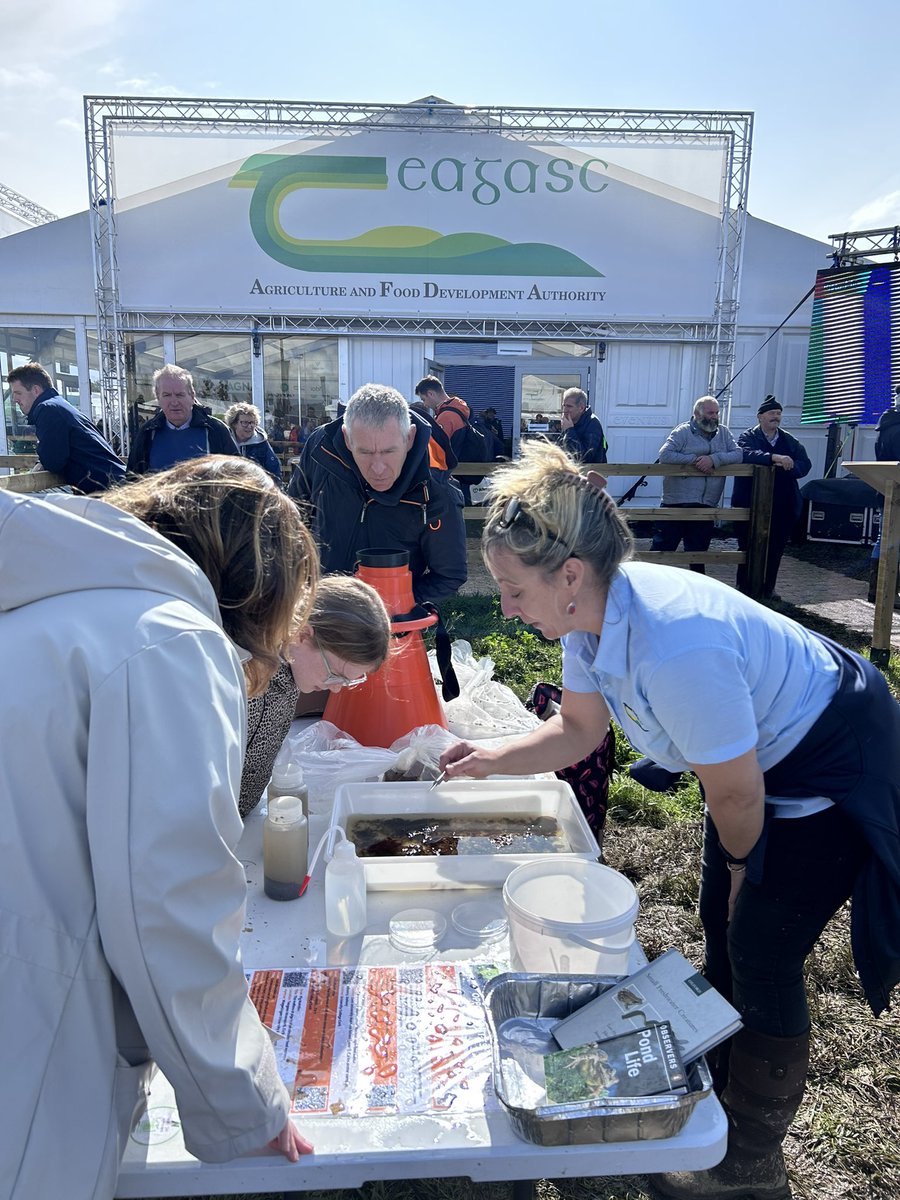 Lovely to catch up with colleagues <a href="/NPAIE/">National Ploughing</a> this year. I’m delighted to be promoting the Walsh Scholar programme <a href="/teagasc/">Teagasc</a> with PhD researcher, Bridget Fox. Come say hello if you’re here 👋 #ScienceCommunication