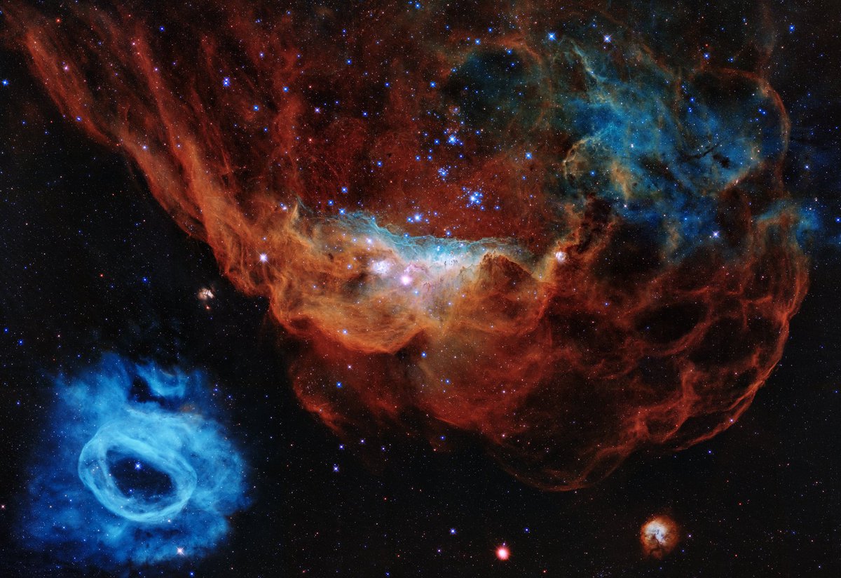 EricLagadec's tweet photo. La lumière de cette image a mis plus de 160 000 ans pour atteindre le télescope Hubble. Dans le Grand Nuage de Magellan, NGC 2020 à gauche et NGC 2014 à droite sont des amas d'étoiles jeunes avec du gaz ionisé autour : en bleu de l'oxygène, en rouge de l'hydrogène. https://t.co/PyjUe65Djb
