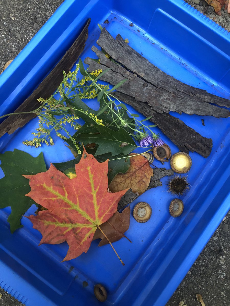 courtney tweet media