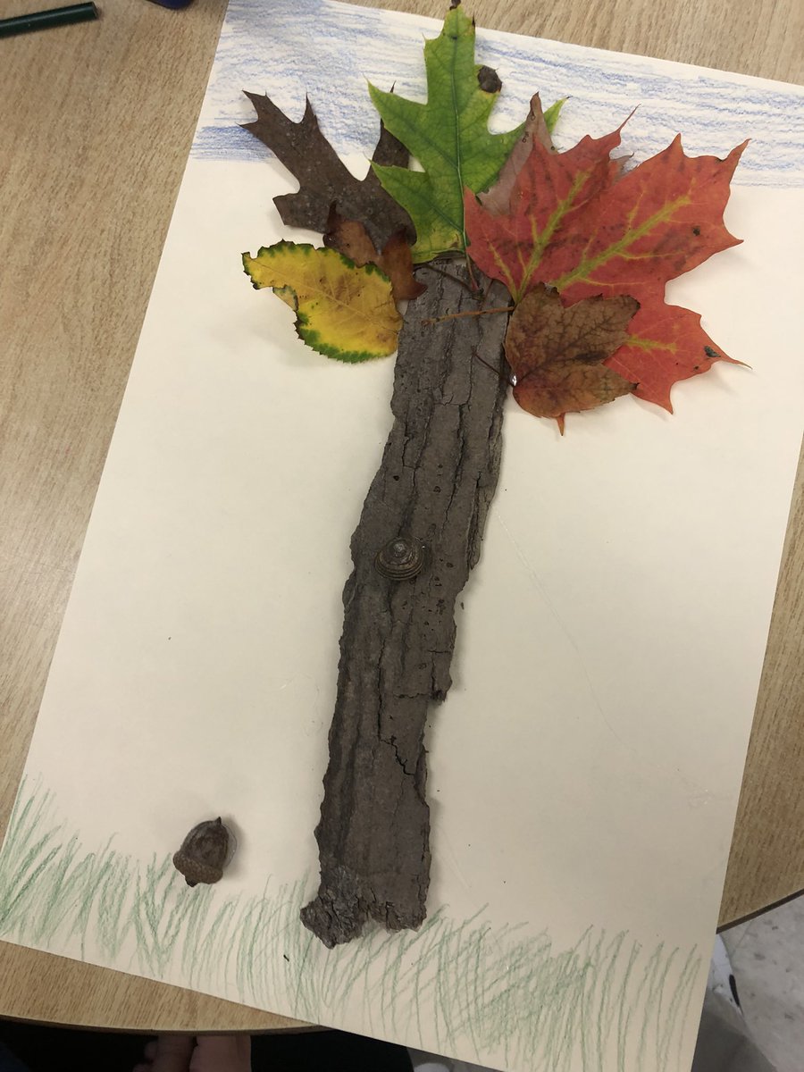 courtney tweet media