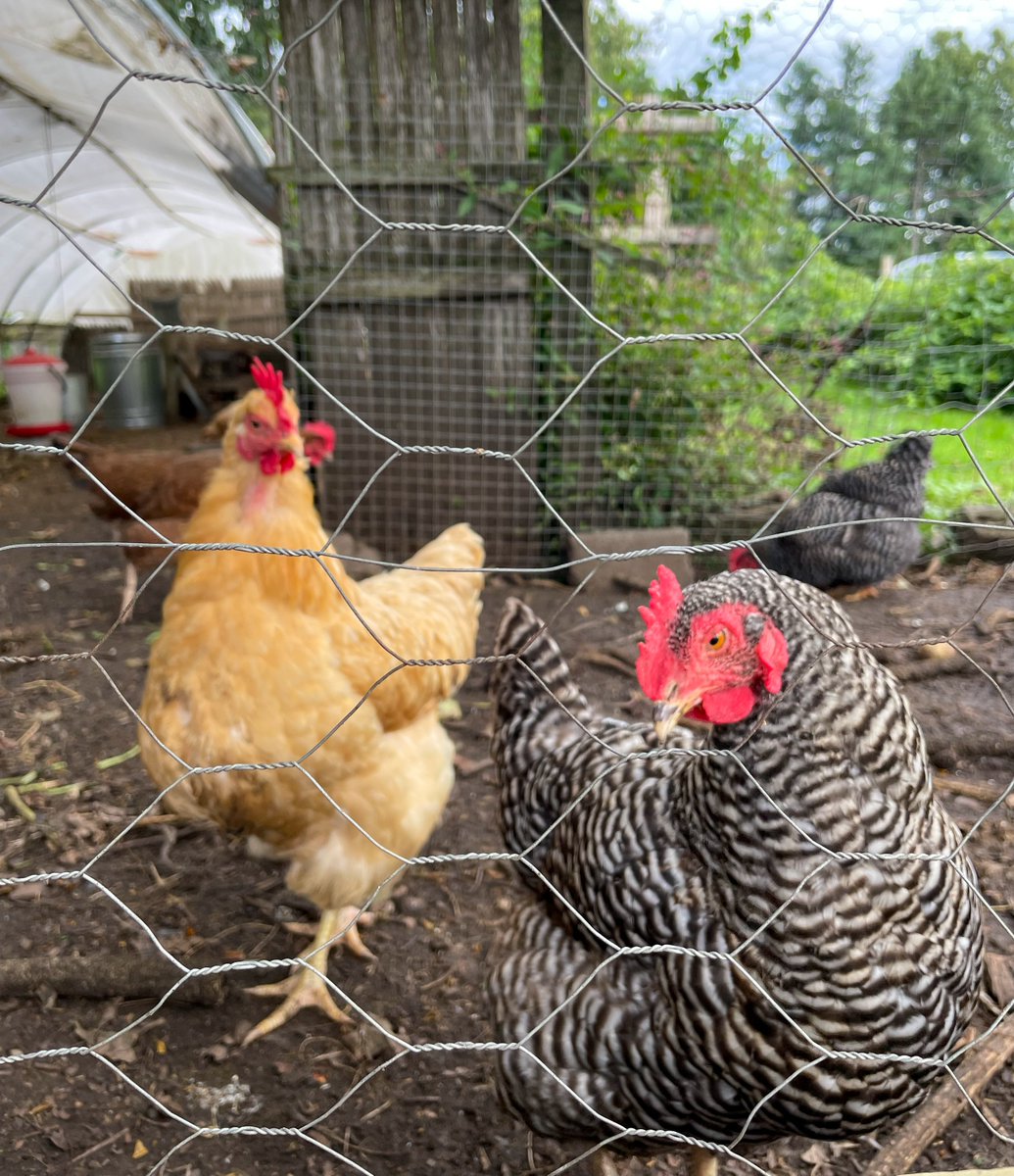 'Forming waste into value, one pot at a time.'

The Northeast communicators teamed up this week to highlight regional projects.

Several winding, Connecticut roads led us to Freund Farmer's Market, home of <a href="/CowPots/">CowPots</a> - where Biodegradable products are made from composted cow manure