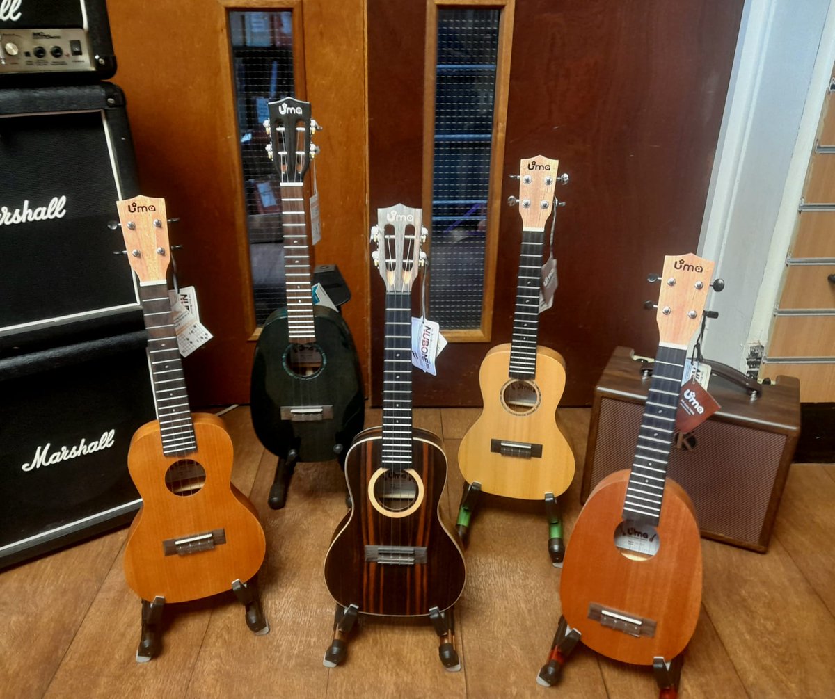 BoothsMusic's tweet photo. We've been resupplied with a modest but FINE selection of @UmaUkuleles by @StonesMusic .
#ukulele #ukuleleshop #ukulelespecialist #umaukuleles #concertukulele #music #musicshop #bolton #est1832 https://t.co/2dTmnPfbgp