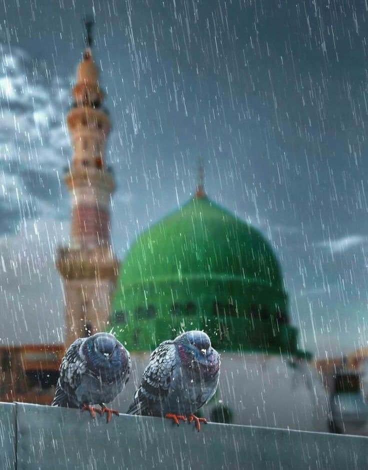 Arab Dunya | عرب دنیا tweet media