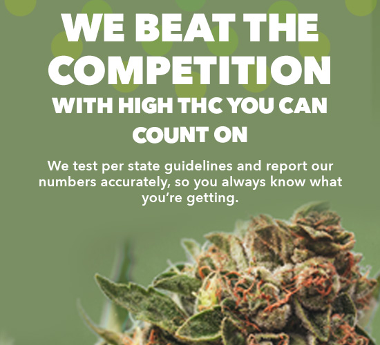 Trulieve's tweet photo. ๐ฟ#WhyTrulieve?โจWe beat the competition with #HighTHC YOU can count on. Curious about our testing process that you can trust? Discover why #Trulieve is your trusted source for premium #CannabisProducts in our blog.๐
๐ฒhttps://t.co/8zzfmxCTuE
#Cannabis #THC #CannabisTesting https://t.co/yZ0ULyk56P
