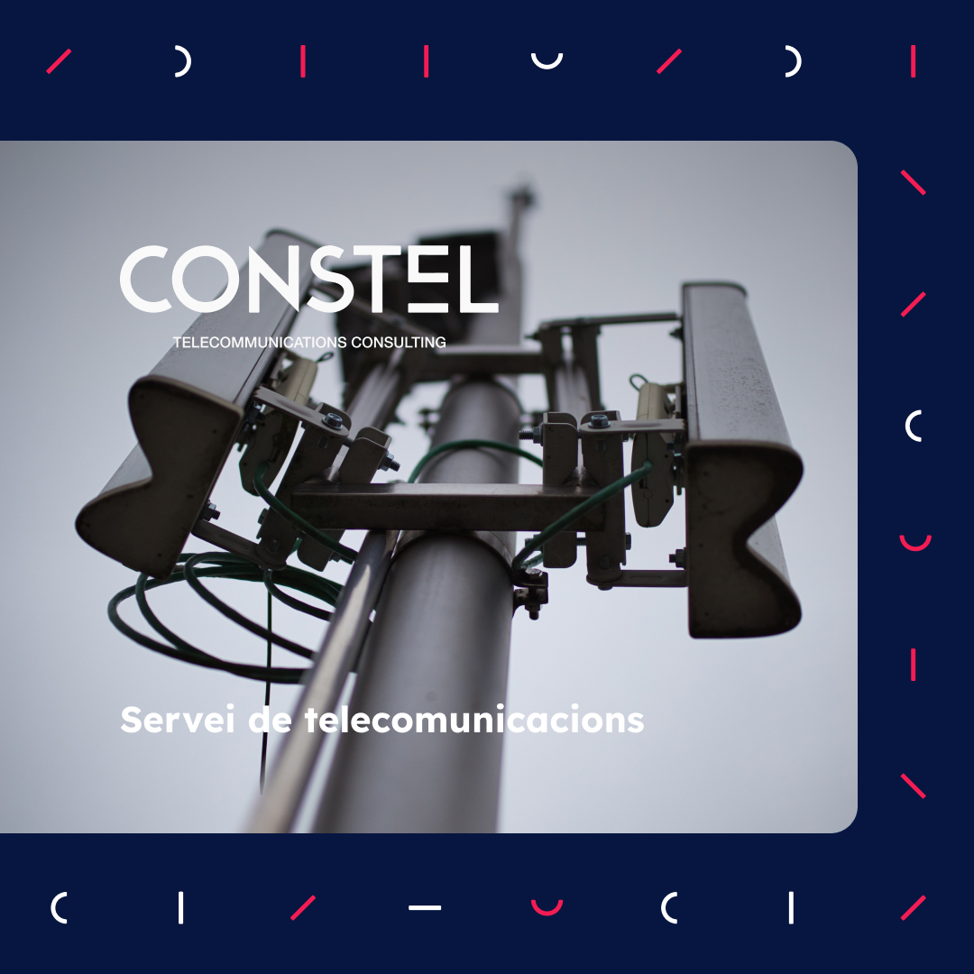 aesecatalunya tweet media