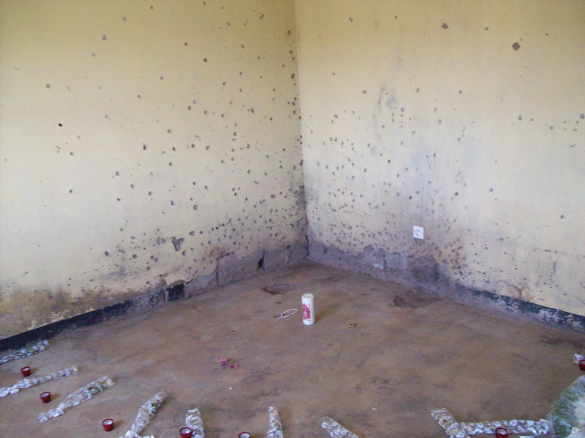 sekaiisanplus's tweet photo. NEW🏛️

🔸 ジェノサイド記憶の地 : ニャマタ、ムランビ、ギソッチとビセセロ
Memorial sites of the Genocide: Nyamata, Murambi, Gisozi and Bisesero
🇷🇼ルワンダ
https://t.co/avrTuaePnY

ルワンダ内戦時に起きたルワンダ虐殺に関する、記憶の場。
ニュングェ国立公園と共にルワンダ初の #世界遺産 https://t.co/H64ih3ArDa