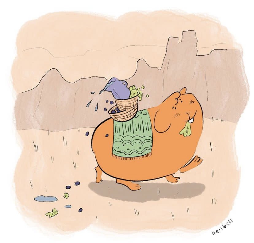 BrooklineArtsCenter tweet media