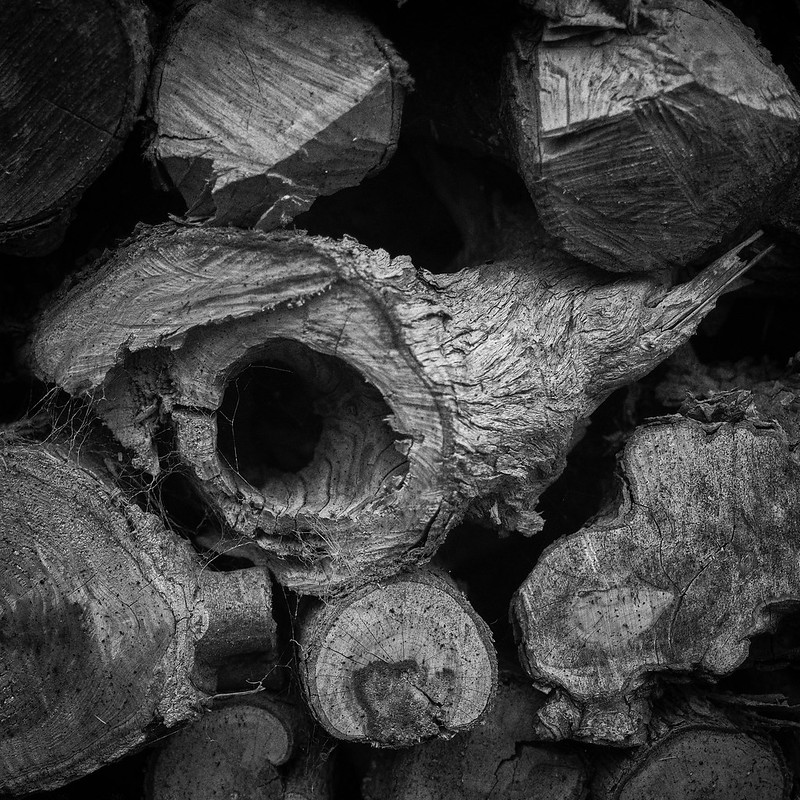 ๐ฑ๐๐ ๐ฉ๐๐๐๐๐ (@exesmokehouse) on Twitter photo Hollow. Enjoy the rest of your week everybody. Fujifilm X-Pro2 and XF 16-55 <a href="/FujifilmUK/">FUJIFILM UK & Ireland</a> #photograghy #monochrome #PHOTOS Hollow. Enjoy the rest of your week everybody. Fujifilm X-Pro2 and XF 16-55 <a href="/FujifilmUK/">FUJIFILM UK & Ireland</a> #photograghy #monochrome #PHOTOS